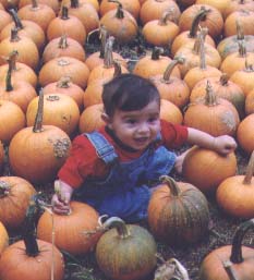 Lil pumpkins