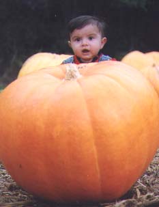 Pumpkinhead