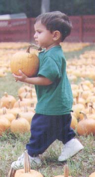Little Pumpkin